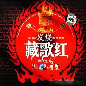 醉美天下封面