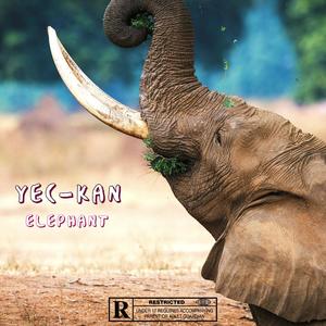 ELEPHANT (Explicit)