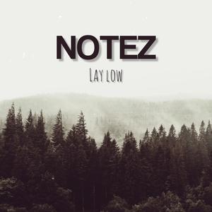 Lay Low