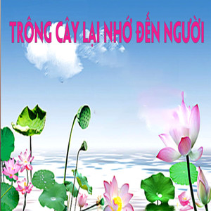 Trông cây lại nhớ đến Người