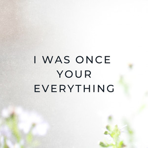 I Was Once Your Everything