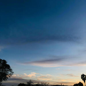 only m wave (feat. ZPA) (Explicit)