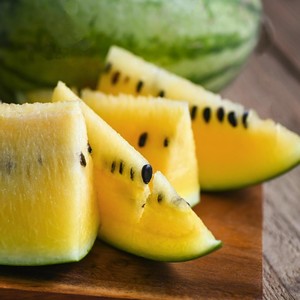 Funky Watermelon