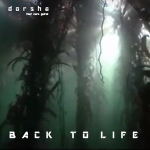 Back to Life (Remix)