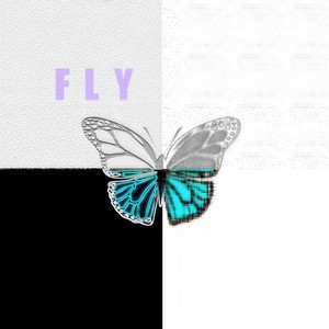 But fly