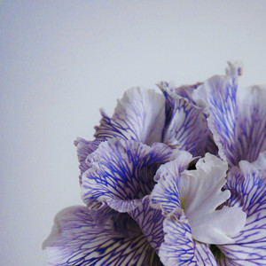 How deep would you dive in?