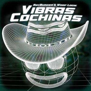 VIBRAS COCHINAS