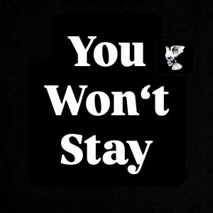 You Won't Stay