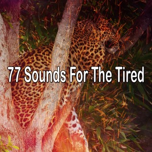 Disable Distractions.