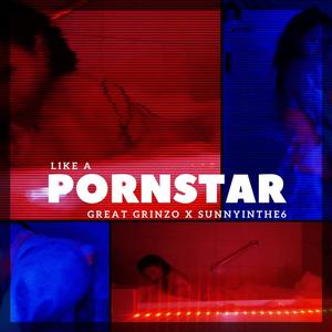 Pornstar (feat. Sunnyinthe6) [Explicit]