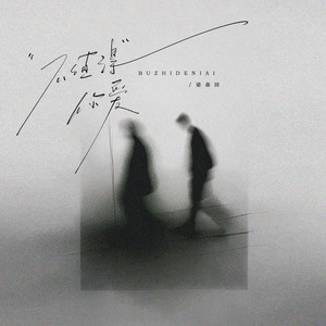 不值得你爱 (伴奏)