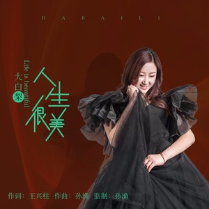 人生很美DJ
