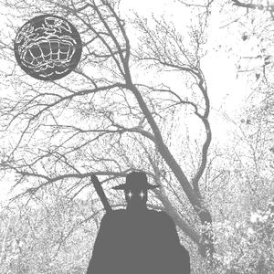 Mossy Wintergreen - Password Entry