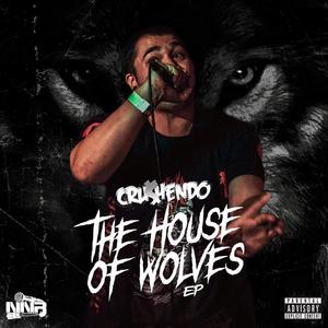 DEMONS IN THE DARK (CRU$HENDO'S RETURN REMIX|Explicit)