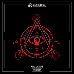 Freak Frog (Original Mix)