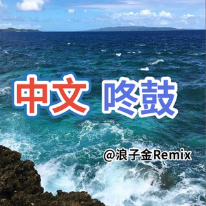 人生何处不相逢 (DJ版)