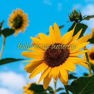 Build Me Up Buttercup (feat. Erica Banzuelo) (Explicit)