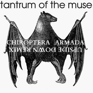 Chiroptera Armada (Upside Down Remix)