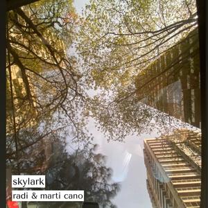 skylark (feat. Martina Cano)