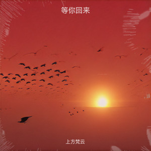 等待黎明封面