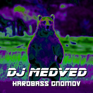 Hardbass Gnomov