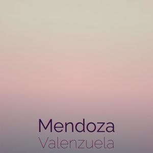 Mendoza Valenzuela