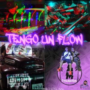 Tengo Un Flow (feat. Roberr N) [Explicit]