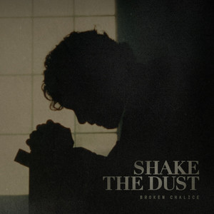 Shake The Dust