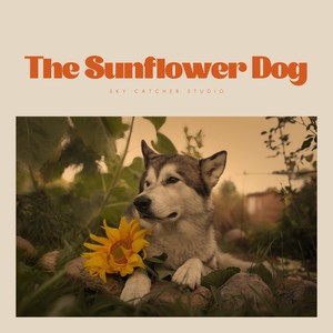 The Sunflower Dog