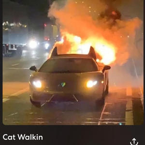 Cat Walkin -EP (Explicit)