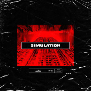 Simulation