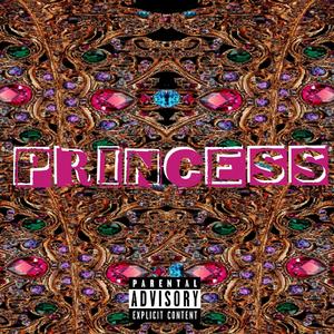 PRINCESS (Explicit)