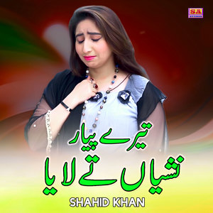 Tere Pyar Nashyan Te Laya