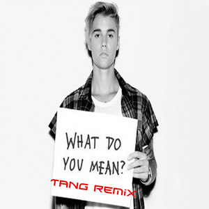 Justin Bieber - What Do You Mean (Tang Remix)