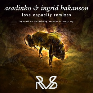 Love Capacity (Remixes)