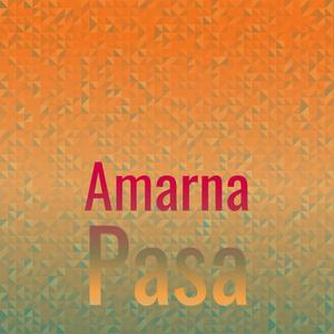 Amarna Pasa