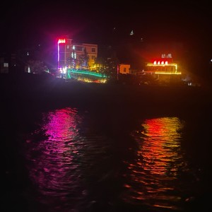 真的想你了 (Demo)