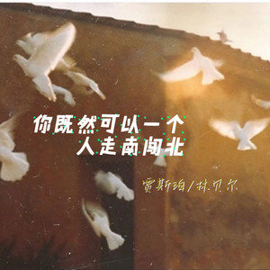 你既然可以一个人走南闯北