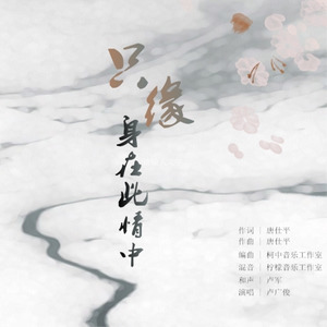 只缘身在此情中 (伴奏)