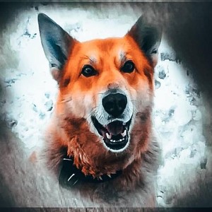 Верный ПЁС (Thekrk Remix)