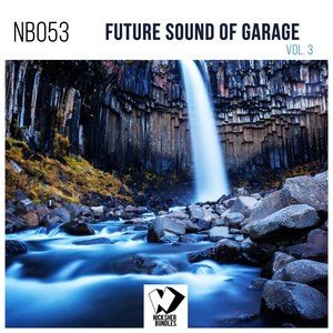 Future Sound of Garage, Vol. 3