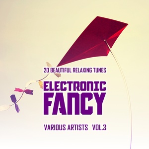 Electronic Fancy (20 Beautiful Relaxing Tunes), Vol. 3