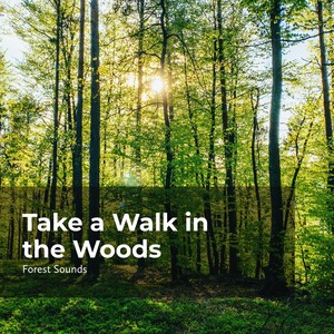 Take a Walk in the Woods