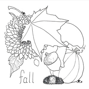 Fall