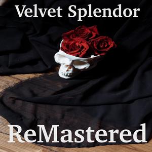 Velvet Splendor