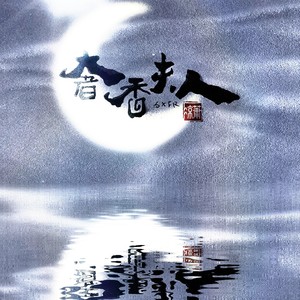 奢香夫人封面