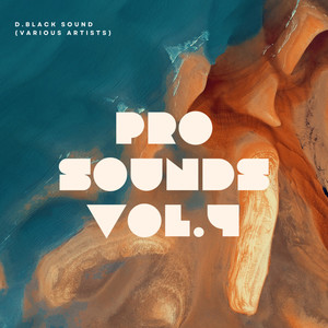 Pro Sound, Vol. 4