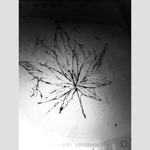 “ 暗黑枫叶 ” & “ Dark Butterfly ” Trap beat (伴奏)