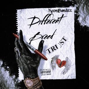 Different Breed (Explicit)