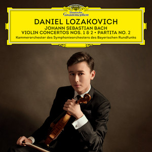 Partita for Violin Solo No. 2 in D Minor, BWV 1004 - J.S. Bach: Partita for Violin Solo No. 2 in D Minor, BWV 1004: V. Chaconne